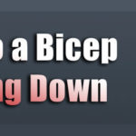 How To Do A Bicep Curl Sitting Down