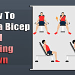 How To Do A Bicep Curl Sitting Down