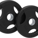 Body Revolution Rubber Weight Plates